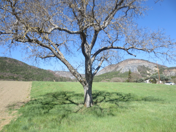 biens/1/b7d63a984398f3973a51245562e02cd0/photo_1940910f564271b59af999f34eb3cb9e.jpg