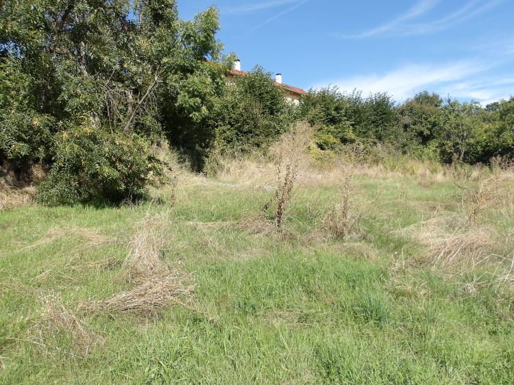 biens/1/de0f7d7777c3c698c196f0b7e614c8ce/photo_1056149d1e7c74314a4df89b8caf8e20.jpg