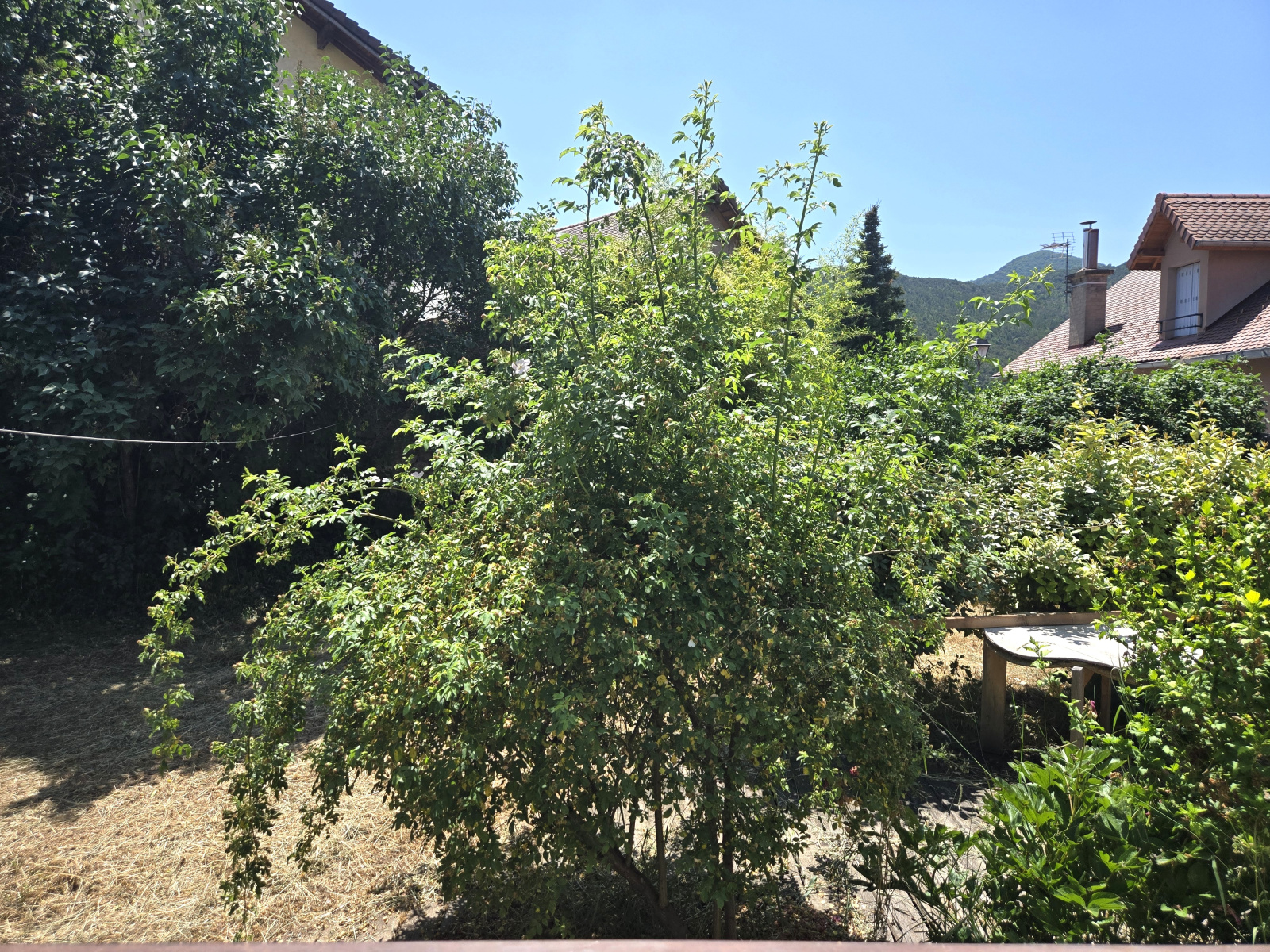 Image_, Maison, Chorges, ref :2025/132