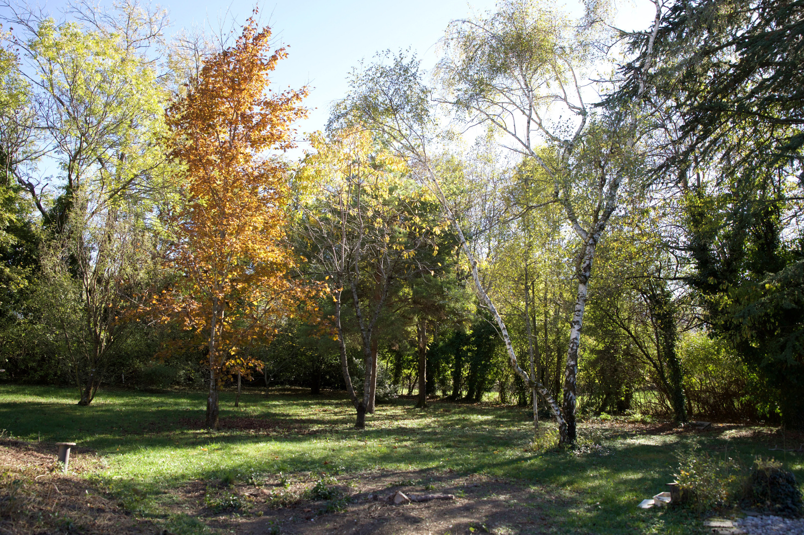 Image_, Maison, La Bâtie-Neuve, ref :2025/137