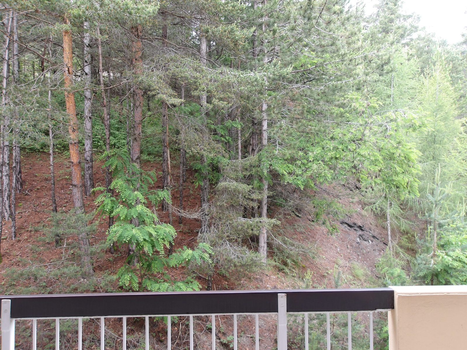 Image_, Appartement, Chorges, ref :2028/29