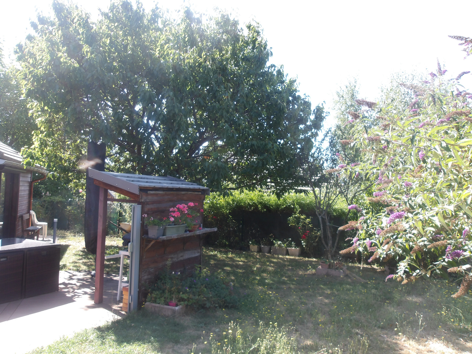Image_, Maison, Chorges, ref :2024/121