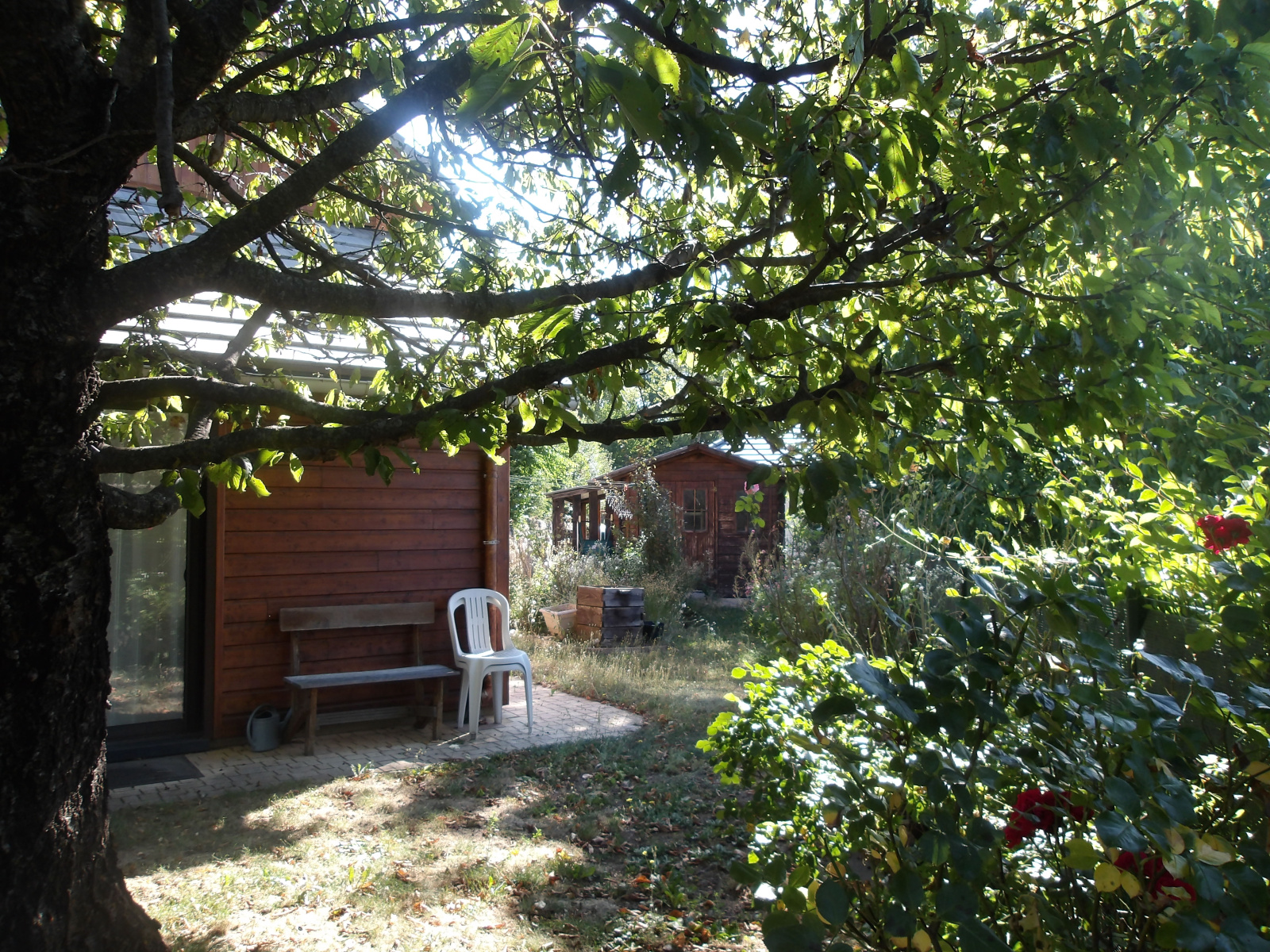 Image_, Maison, Chorges, ref :2024/121