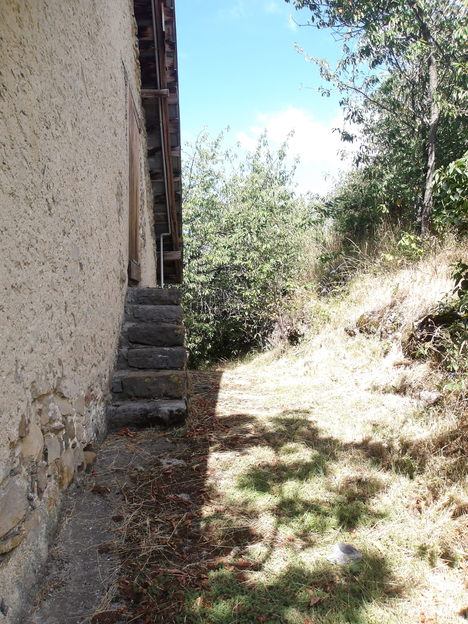Image_, Maison, Saint-Apollinaire, ref :2025/134